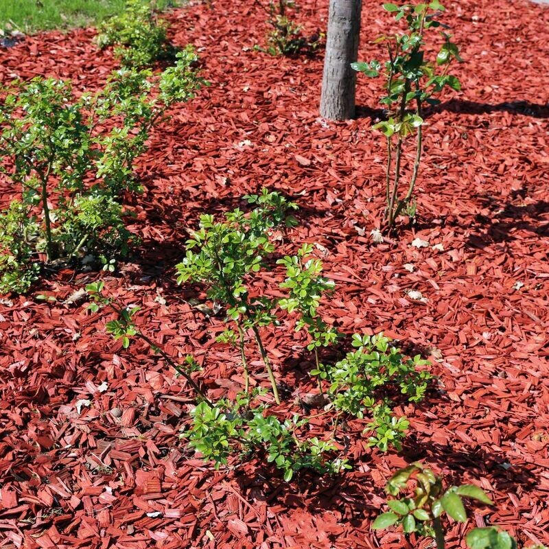 Red Mulch