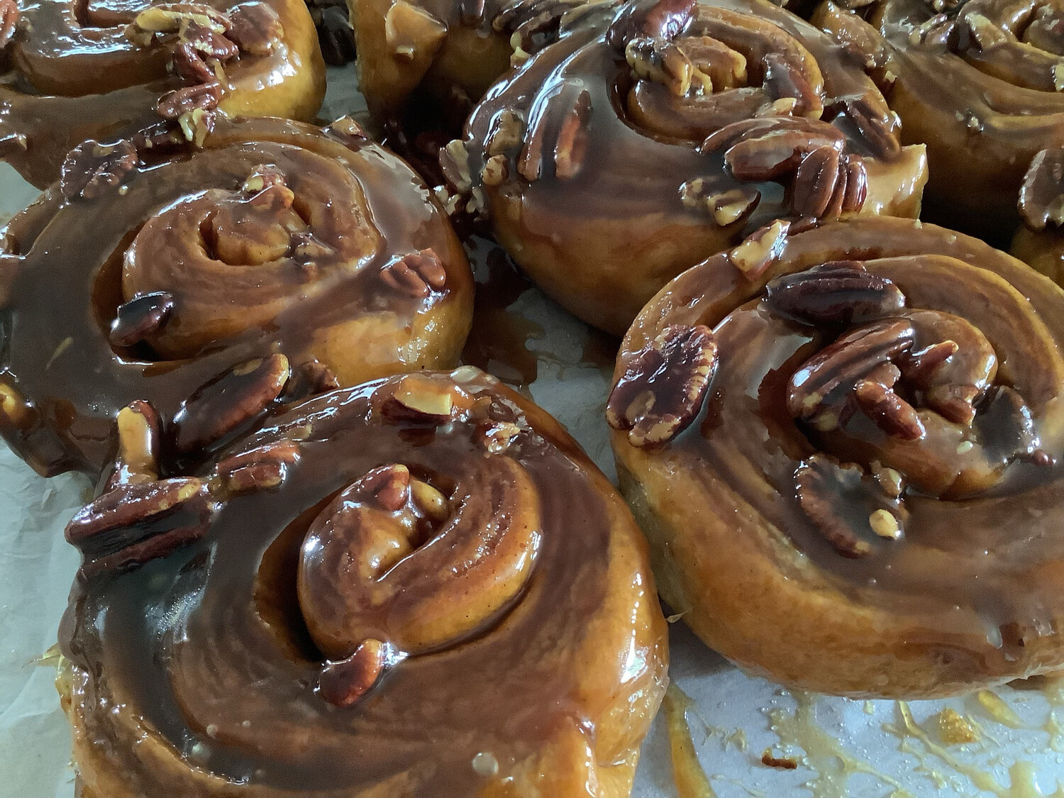 Pecan Sticky Buns
