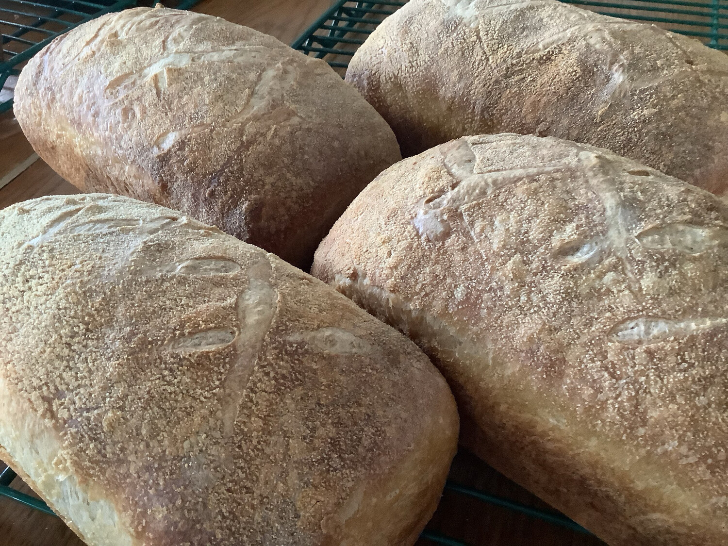 SanFrancisco Sour Dough