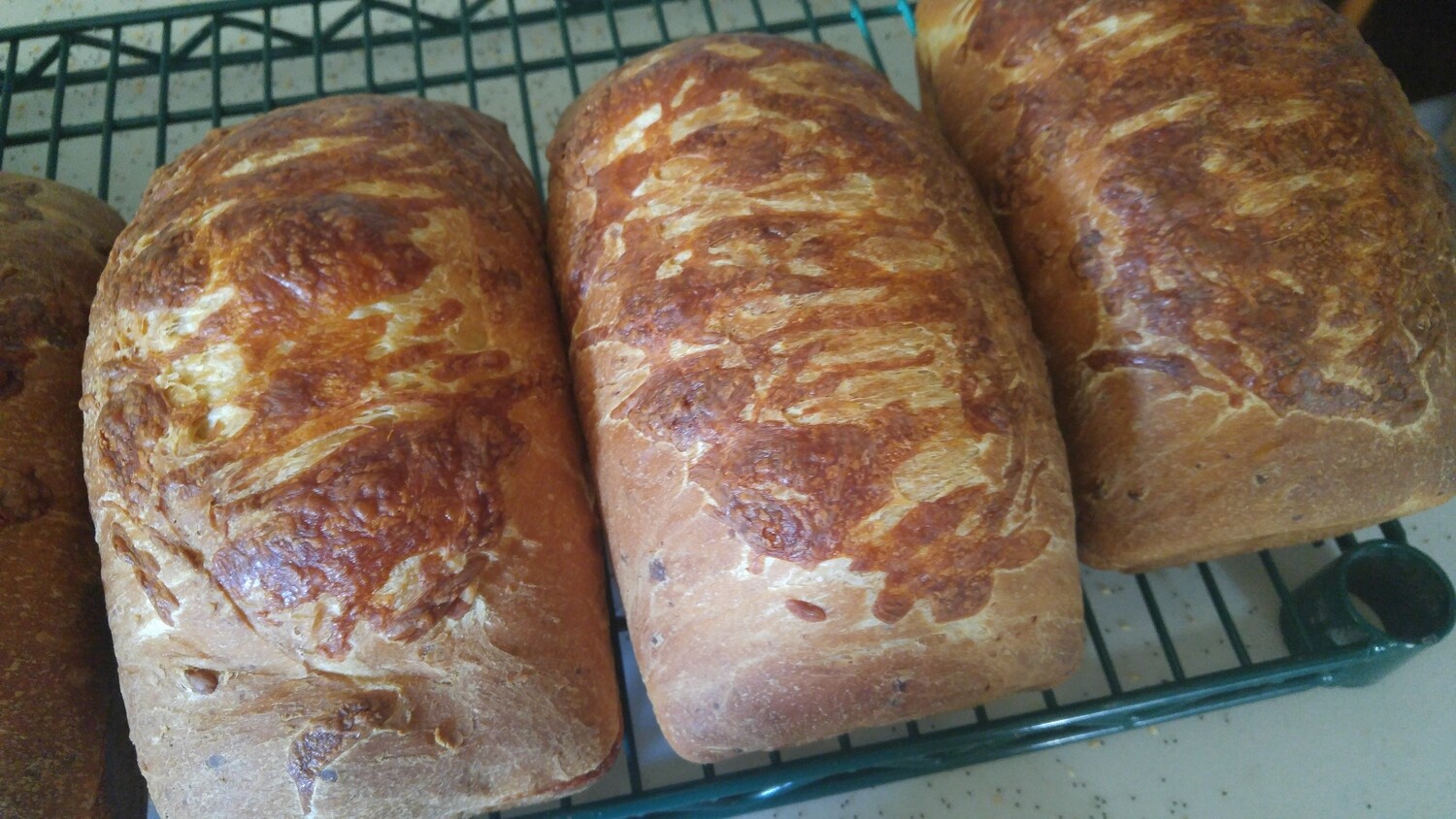 Cheese Bread
