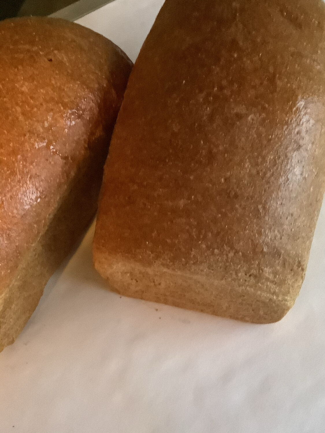 All-WholeWheat Bread