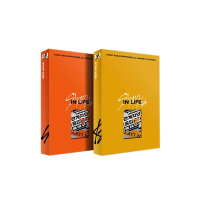 Stray Kids Album Vol. 1 (Repackage) - IN生 (Standard Ver.) (Random)