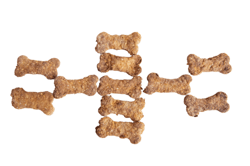 Into the Wild Dog Biscuits