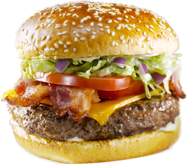 Burger Special 240gr