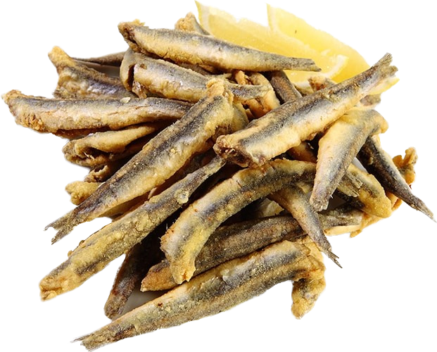 Gavros Prajiti