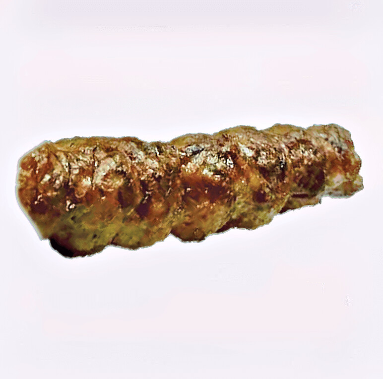 Kebab Vita Oaie La Gratar