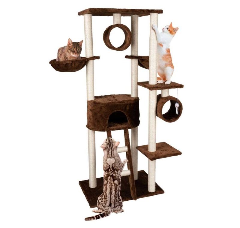 Tiragraffi gatti albero parco giochi gatto 165 cm marrone