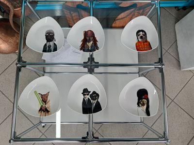 Collezione rarissima PETS ROCK COOKUT France