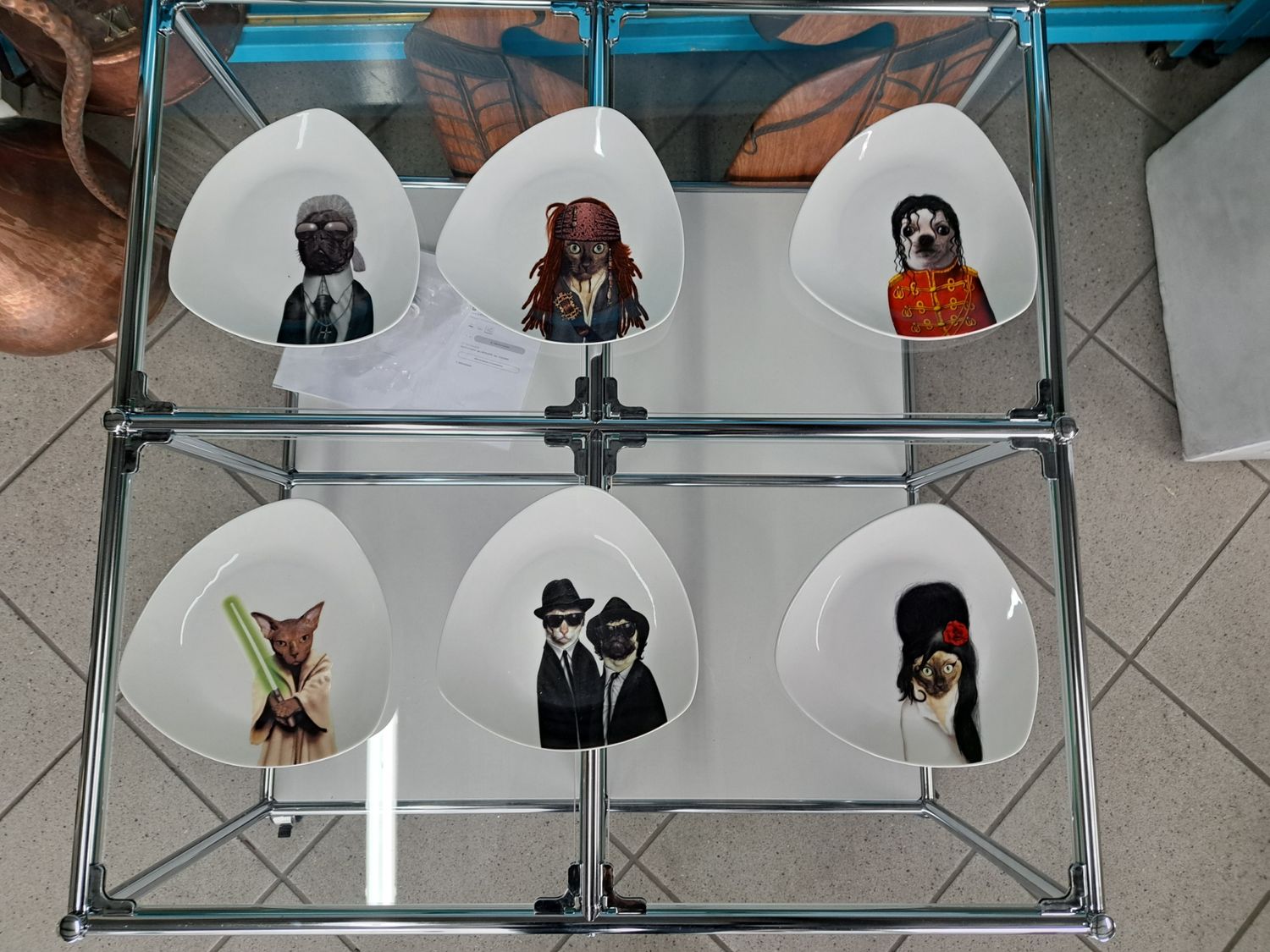 Collezione rarissima PETS ROCK COOKUT France