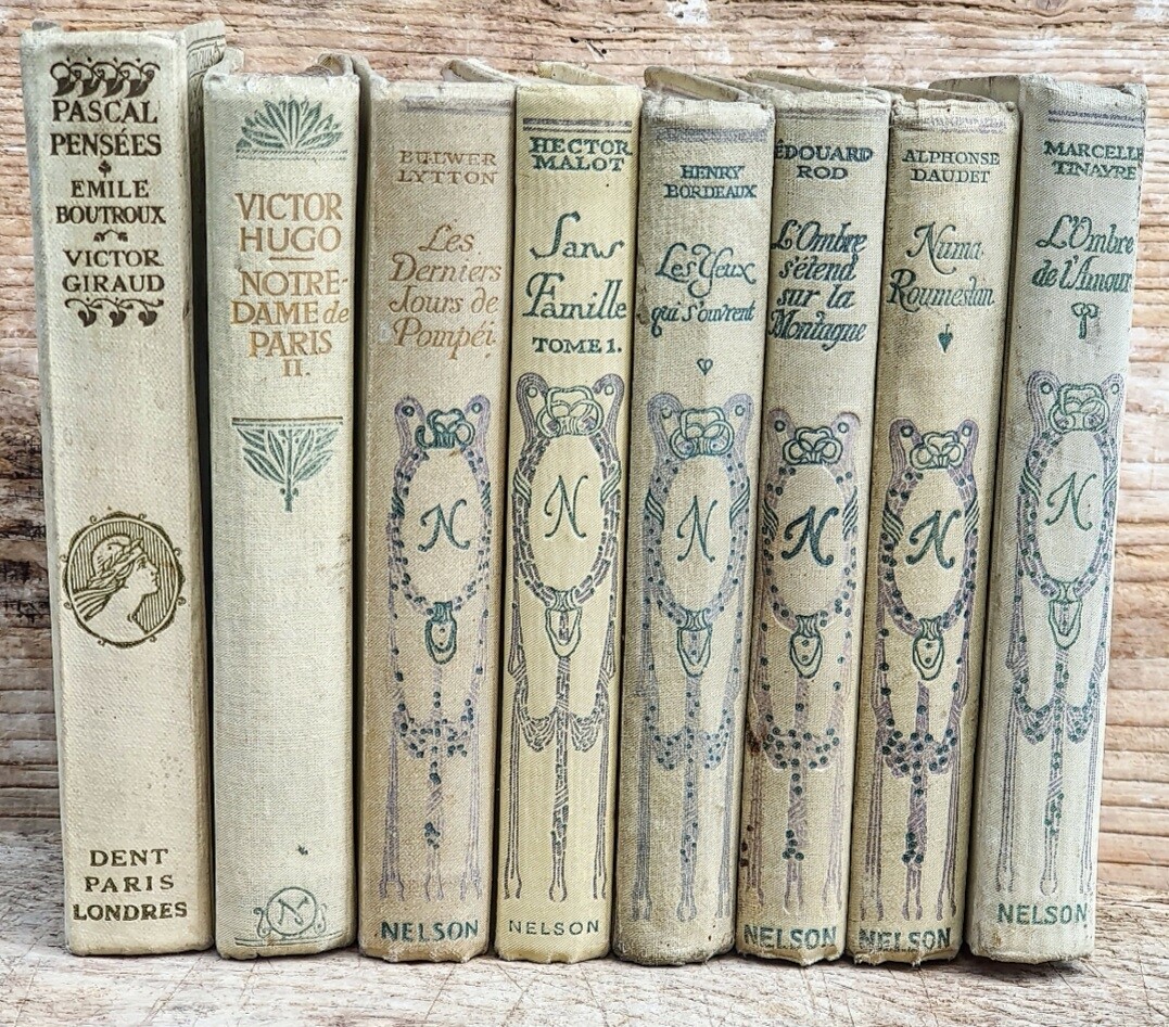Set Of 8 French Vintage Books