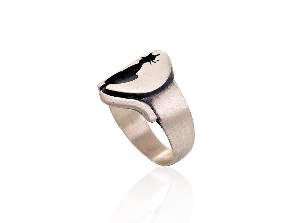 Žiedai, Moterims, Be akučių,, metalas Sidabras, praba 925, modelis 2101563(Matt+POx-MattBk)