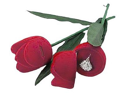 Schachtel für Ring, Ohrring, Anhänger 29x4,5x4,5 cm A7101730Ro