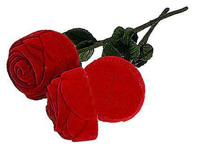 Box for ring, earring, pendant 30x5.6x5.6 cm A7101711R