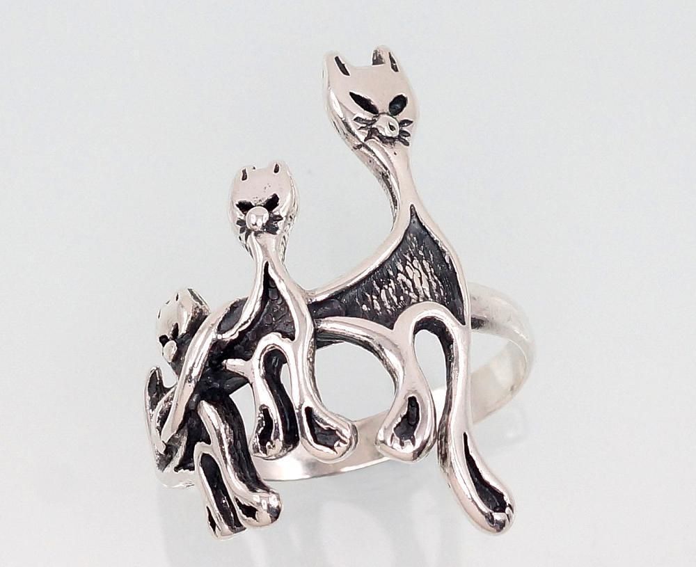 Silver ring, A2101401POxBk