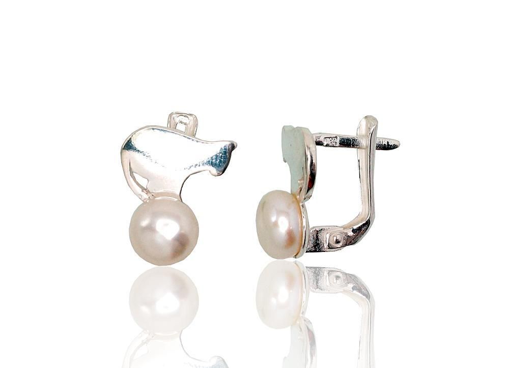 Silver earrings, A2202822PE