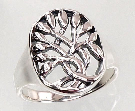 Silver ring for women A2100721POxBk