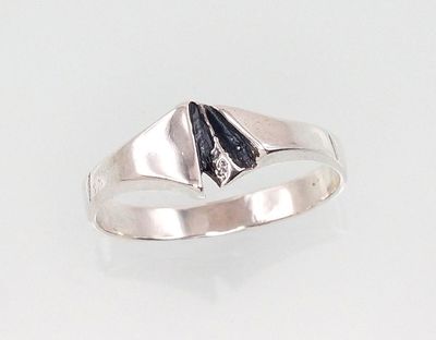 Silver ring for women A2101389POxBk Silver ring for women A2101389POxBk