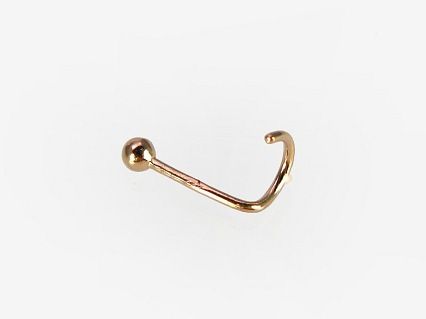Piercing In The Nose A1930023AuR