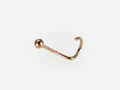 Piercing In The Nose A1930023AuR