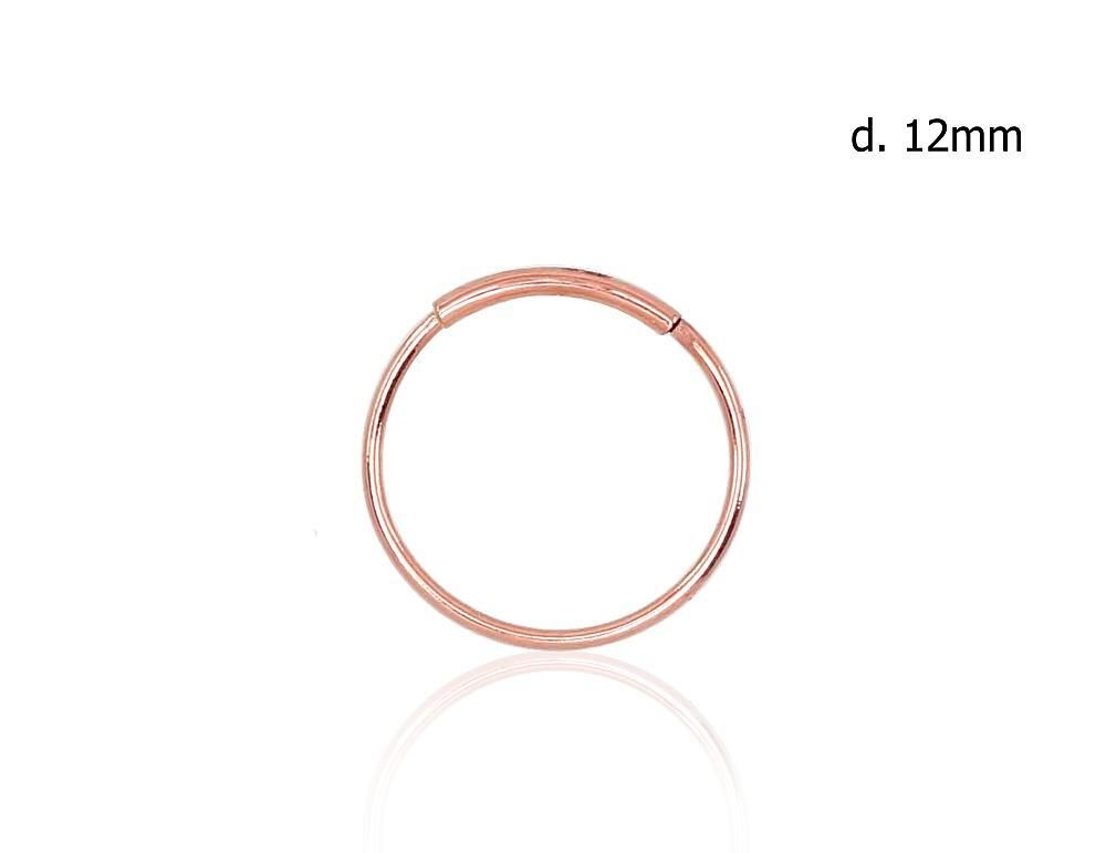 Nose-piercing A1930061AuR