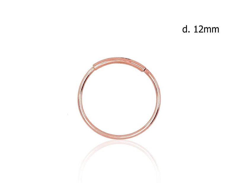 Nose-piercing A1930061AuR