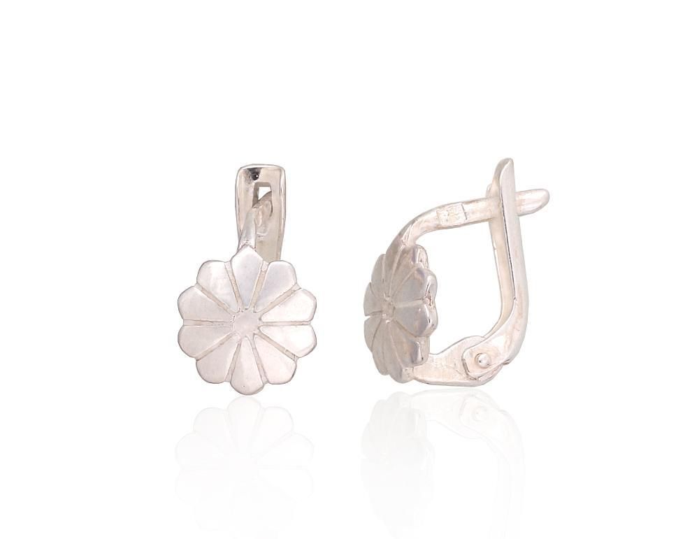 Silver earrings A2202475