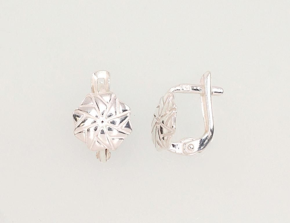 Silver earrings A2202476