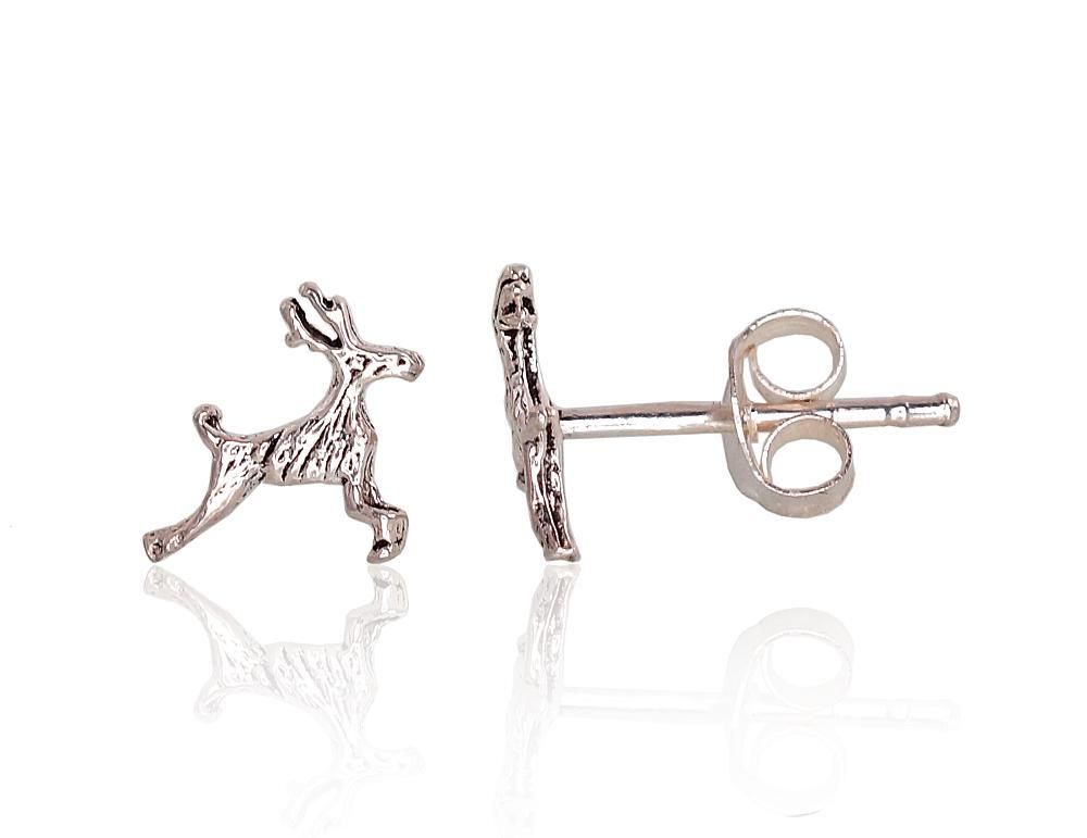 Silver Earrings A2203399POxBk