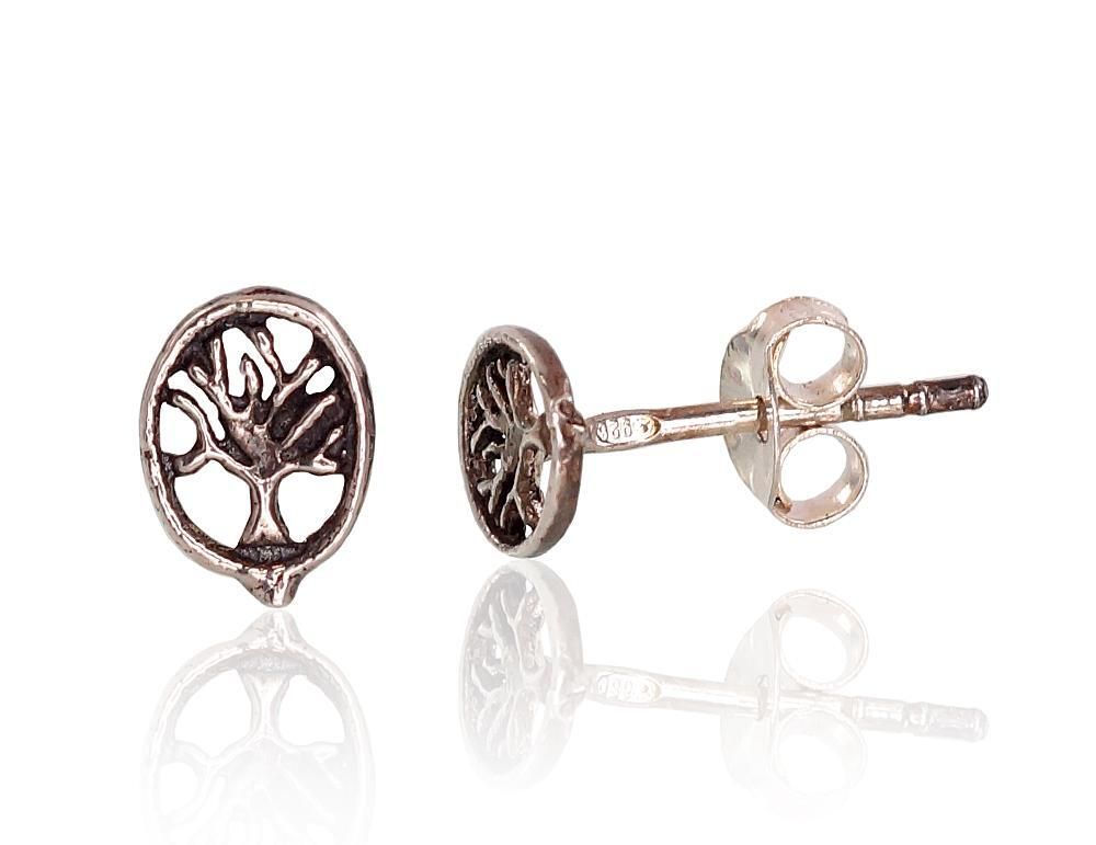 Silver Earrings A2203352POxBk