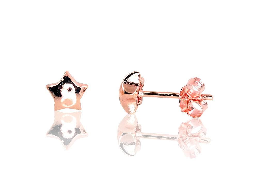 Silver earrings A2202962PAuR