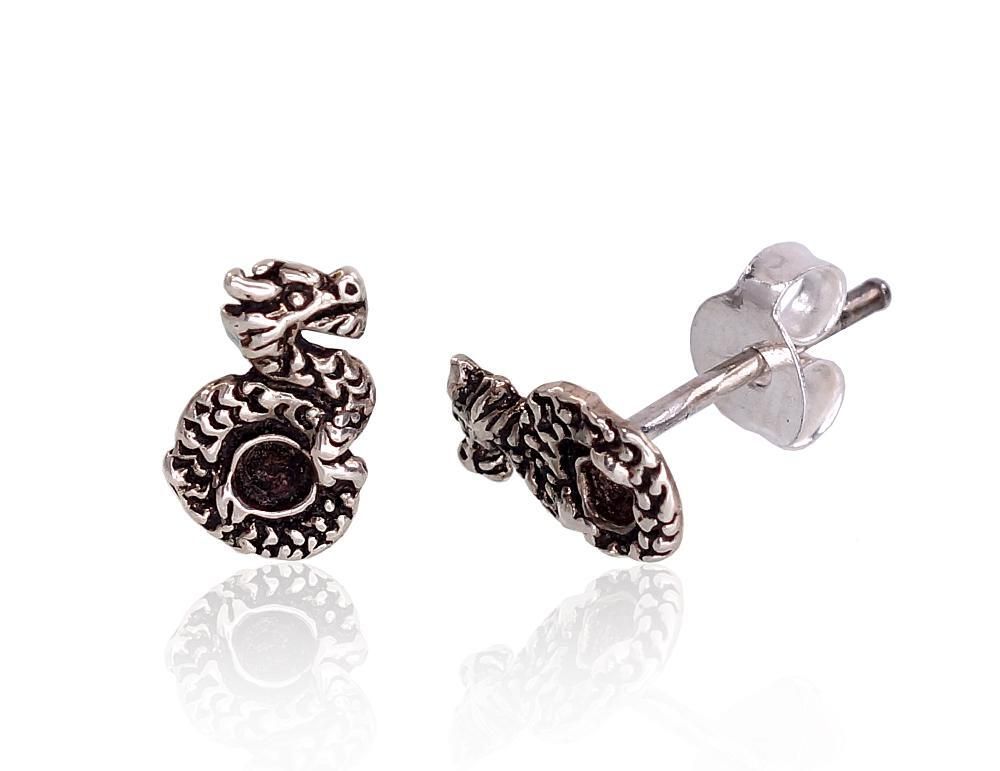 Silver Earrings A2203383POxBk