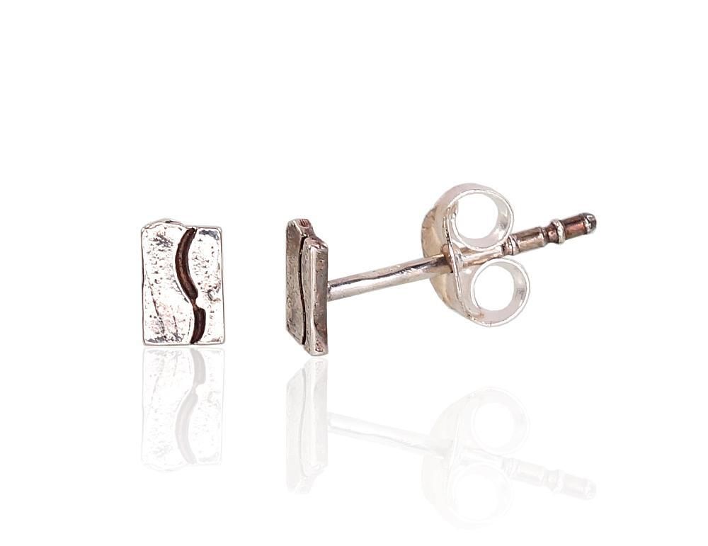 Silver Earrings A2203459POxBk