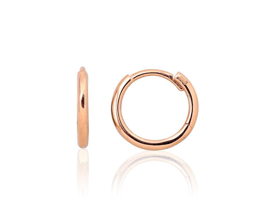 Earrings for women A1201522AuR