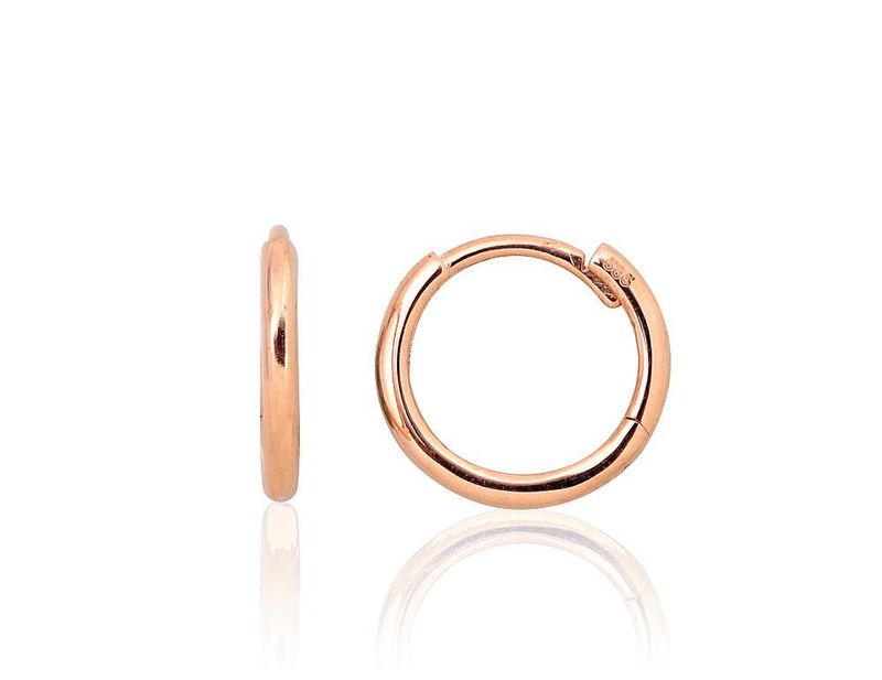 Earrings for women A1201522AuR