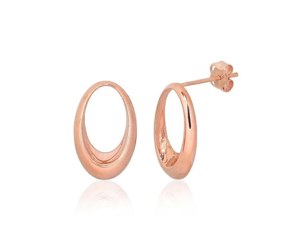 Earrings A1201556AuR