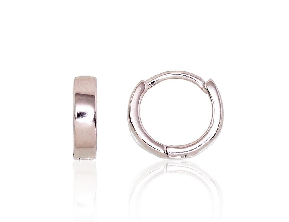 Silver Earrings Rinkutės A2203119PRhGr