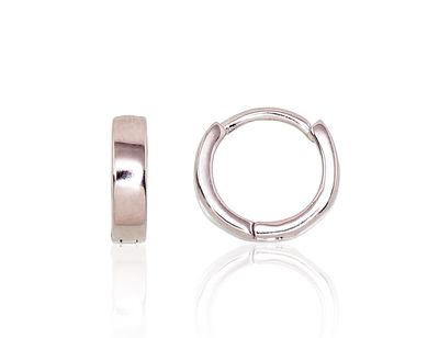 Silver Earrings Rinkutės A2203119PRhGr