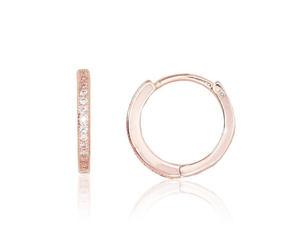 Silver Earrings A2203123PAuRCZ