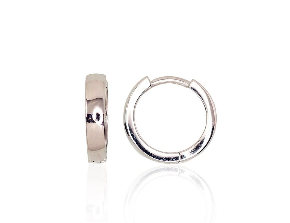 Silver Earrings Rinkutės A2203121PRhGr