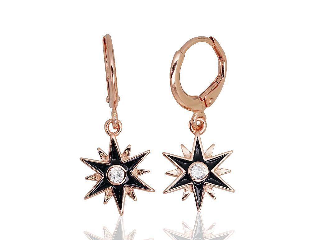 Silver earrings with Lever backs A2203673PAuRCZMLBK