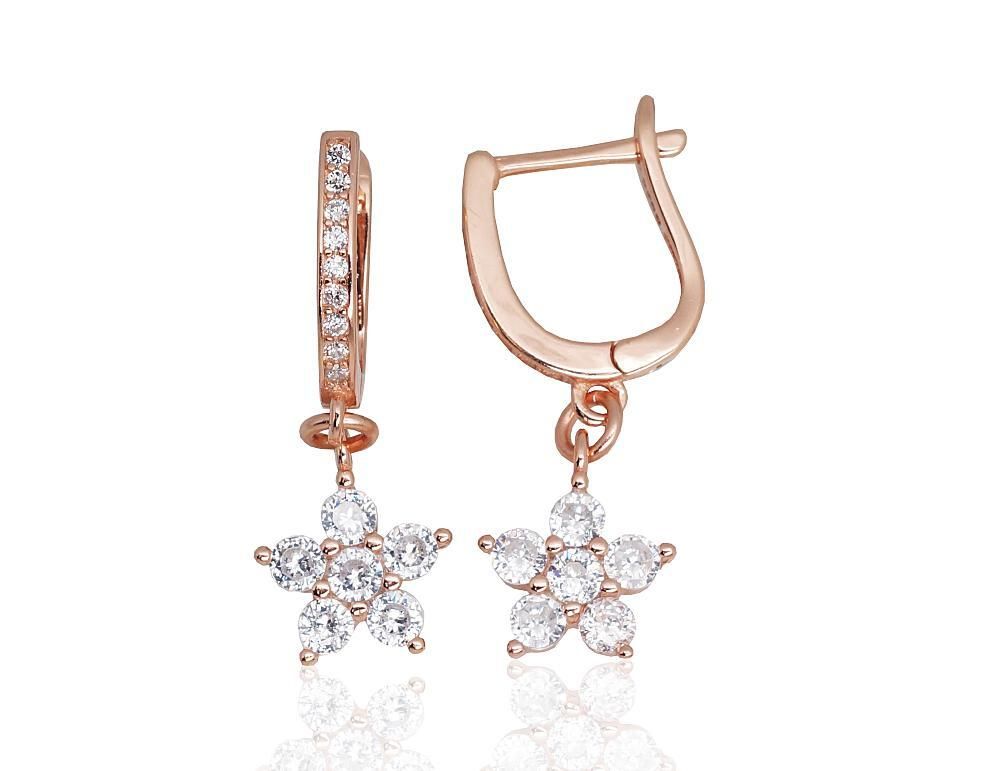 Silver earrrins lever backs A2203670PAuRCZ