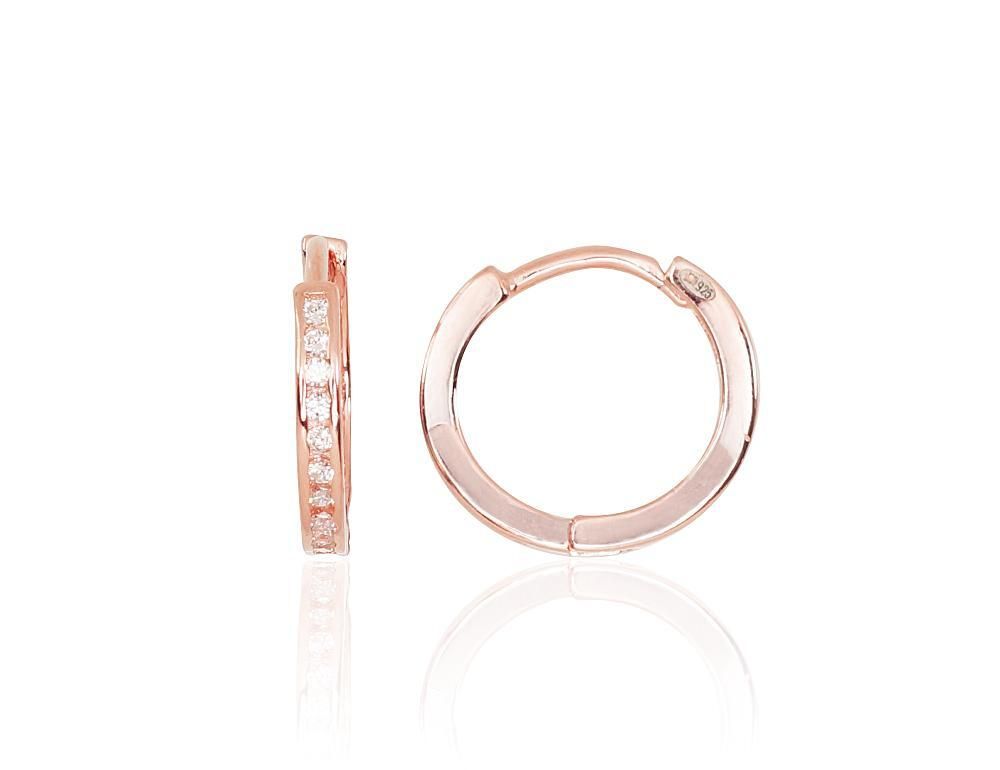 Silver Earrings A2203124PAuRCZ