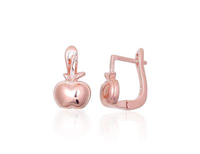 Silver earrings with Lever backs A2203857PAuR