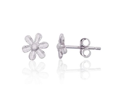 Silver Earrings A2203833PRhGr