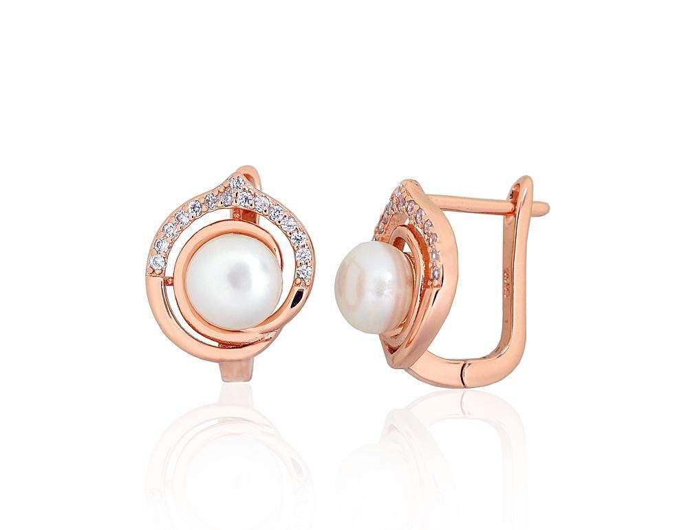 Silver earrrins lever backs A2203844PAuRCZPE