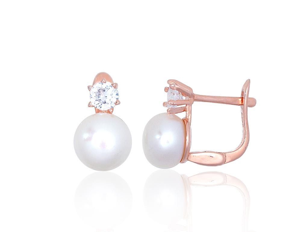 Silver earrrins lever backs A2203847PAuRCZPE