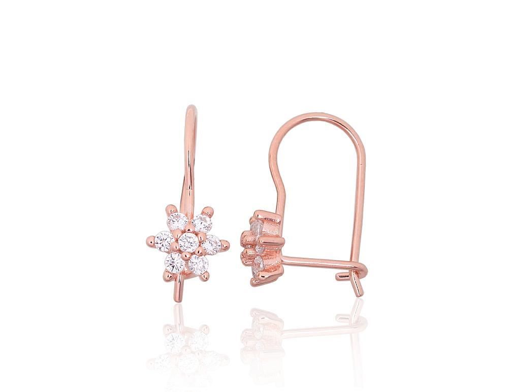 Silver Earrings A2203828PAuRCZ