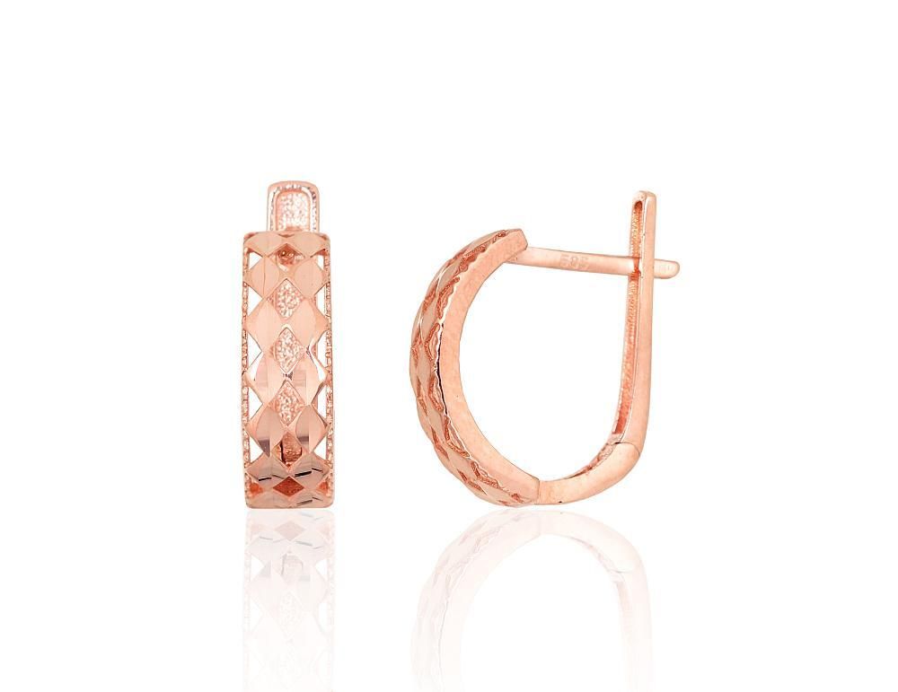 Earrings with Lever backs A1201663AuR