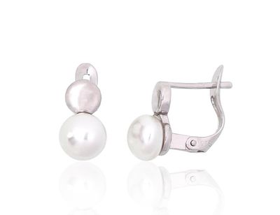 Silver Earrings with English Clasp A2204147PRhGrPE