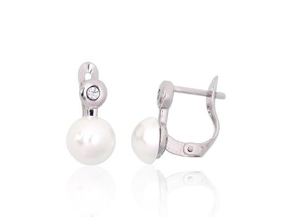 Silver Earrings with English Clasp A2204148PRhGrCZPEX